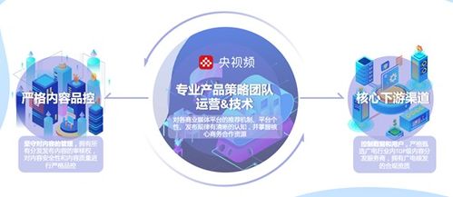 中央廣播電視總臺 版權運營與媒資開發，打造全終端產品渠道，拓展全維度產品價值